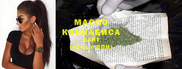 крисы Каменногорск