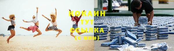 крисы Каменногорск
