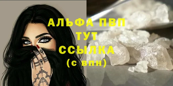 дмт Каменка