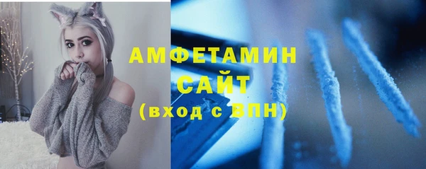 крисы Каменногорск