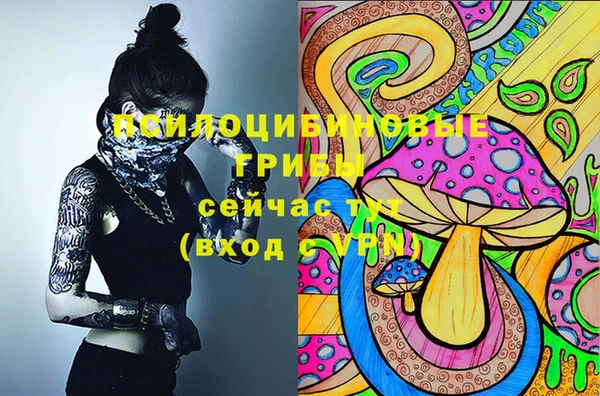 шишки Каменск-Шахтинский