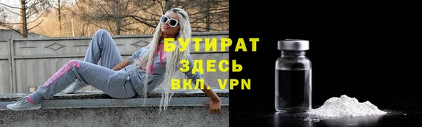 дмт Каменка