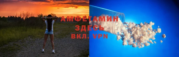дмт Каменка