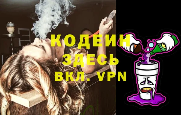 дмт Каменка