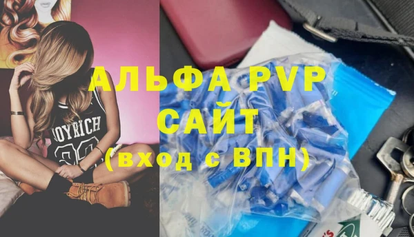 крисы Каменногорск
