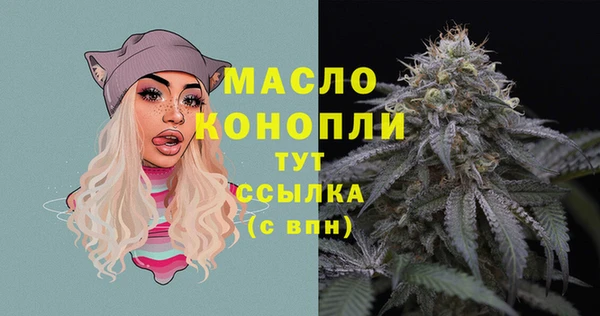 крисы Каменногорск