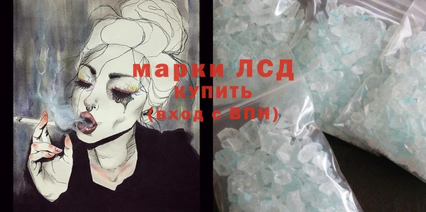 крисы Каменногорск