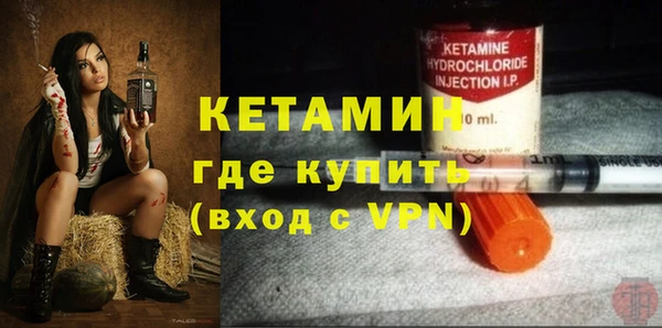 дмт Каменка