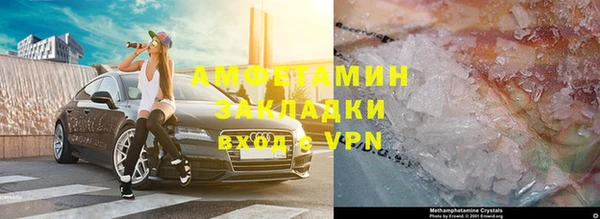 крисы Каменногорск