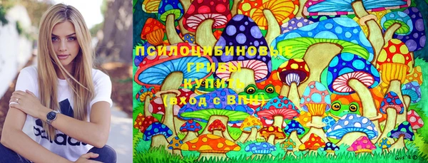 шишки Каменск-Шахтинский