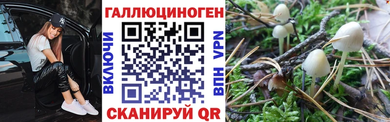 Псилоцибиновые грибы MAGIC MUSHROOMS  Купить  Сертолово 